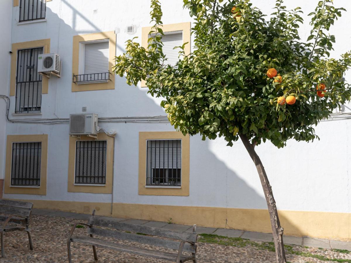 Nayber Gavia - Nuevo Y Centrico Apartamento En Córdoba Buitenkant foto