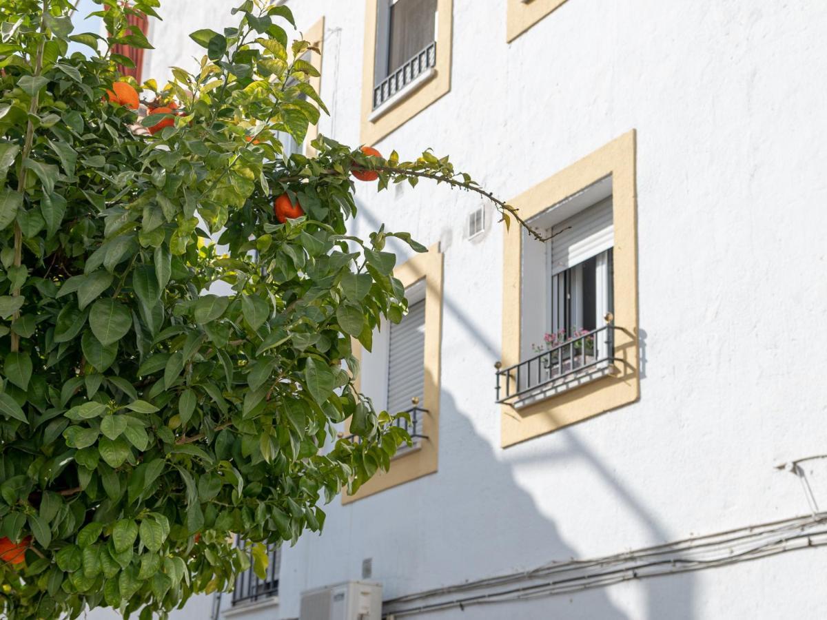 Nayber Gavia - Nuevo Y Centrico Apartamento En Córdoba Buitenkant foto